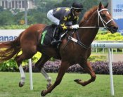 Totality<br>Photo by Singapore Turf Club